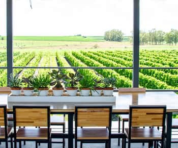 Visita a Bodega Fripp