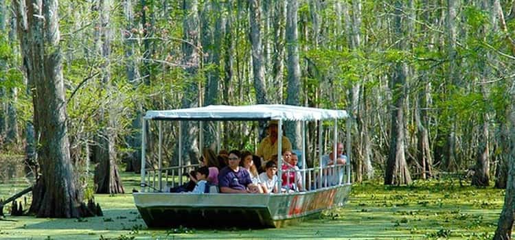 New Orleans: Honey Island Swamp and Bayou Boat Tour