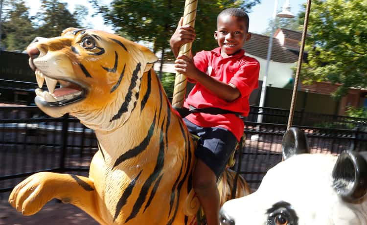 New Orleans: Audubon Zoo Ticket and Combination Option