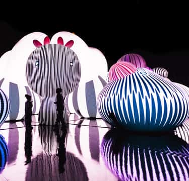 Chicago: Balloon Museum - EmotionAir - Entry Tickets