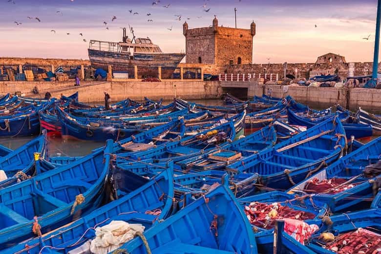 From Marrakech: Small Group to Essaouira & Sekkala Day Trip