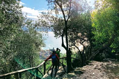 Cinque Terre: Eco Hiking and Wine Tasting