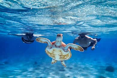 Bonaire: VIP Private Island & Snorkeling Tour - South Side