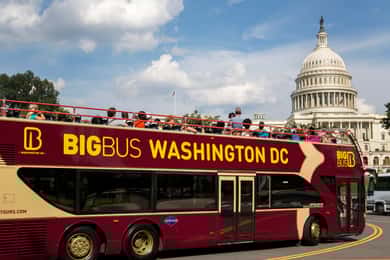 DC: Hop-On Hop-Off with 17 Stops and Arlington Walking Tour