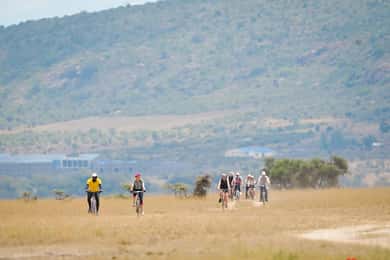 Nairobi: safari guiado en bicicleta para observar la fauna con traslado y comida