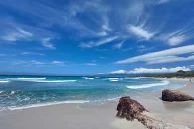 From Calvi: 4x4 Day Tour Mountain & Agriates' Saleccia Beach