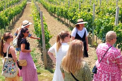Durres Countryside Vineyards Wine & Food Tasting Tour