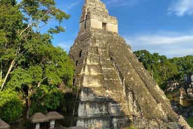 Vanuit Flores, Tikal rondleiding voor groepen