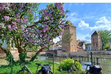 Strasbourg E-Bike Essentials - Top Sights in 2h30