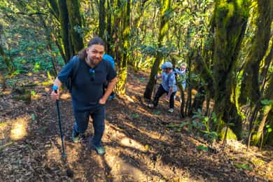 Tenerife: Vandretur over Masca i den fortryllede skov med afhentning