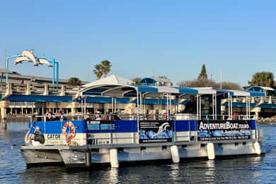 St. Augustine: Dolphin Tails & History Cruise