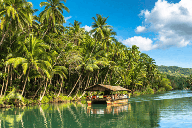 Bohol dagtour vanuit Cebu of Mactan (privétour)