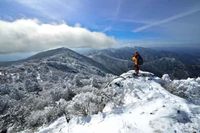 From Seoul: Suwon Hwaseong and Deogyusan Winter Tour