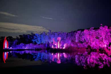 Hervey Bay: K'Gari 5 Day Ultimate Adventure + Illumina