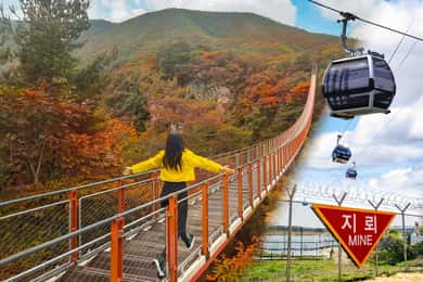 Seúl: DMZ con Puente Colgante y Góndola opcionales