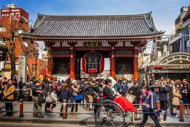 Tokyo Private Tour with English Pro Guide By Luxary Vehivle