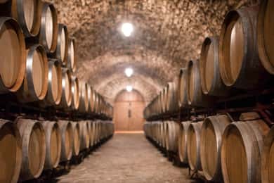 Barcelona: Lyxig rundtur, Buggy Route, lunch och Penedes-viner