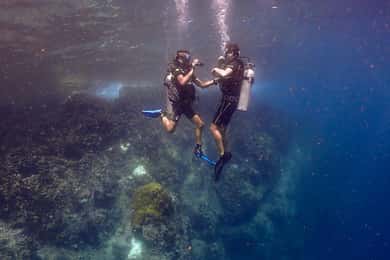 Koh Samui: Opdagelsesdyk til Koh Tao eller Sail Rock