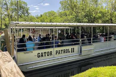 New Orleans: Bayou Swamp Tour and Oak Alley Plantation Tour
