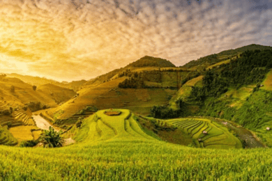 From Hanoi: 2-Day Sapa and Ham Rong Mountain Tour
