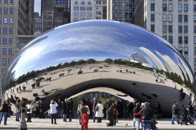 Chicago: Full-Day Guided City Tour by Bus