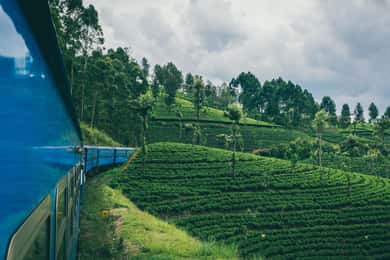 Kandy : Train de première classe à destination de Nuwara Eliya avec sièges réservés