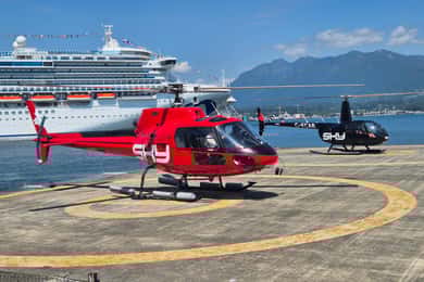 SKY Heli-Tour de Vancouver (Centro)