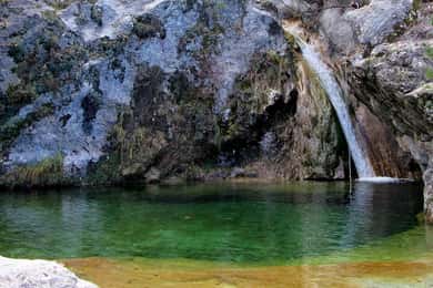 Desde Salónica: Excursión de un día al Parque de Dión y el Monte Olimpo