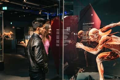 Билеты в музей BODY WORLDS в Берлине
