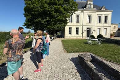 From Bordeaux: Private Tour in the Chateaux of Saint-Émilion