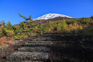 From Tokyo: Mt. Fuji Trekking 1-Day Tour (English Guide)