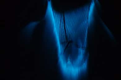 Private Bioluminescence Tours- Cocoa Beach Up to 6 Guests