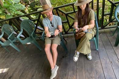 Montego Bay/Falmouth: Excursão particular ao Santuário de Aves de Rockland