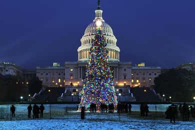 Washington, DC: Måneskinstur til National Mall og mindesmærker