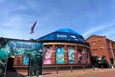 ツーオーシャンズ水族館ワールドバード＆ワインテイスティングプライベートツアー