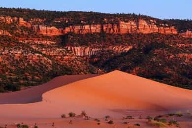 Coral Pink Sand Dunes: UTV Sunset Ride