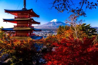 Z Tokia: Fuji & Hakone – soukromý výlet na míru