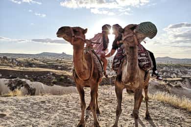 From Göreme: Camel Safari Experience with Guide