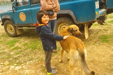 Yan: Öğle Yemeği ve Yeşil Kanyon ile Jeep Safari ve Aslan Safari