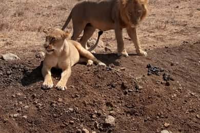 Overnight safari to Tsavo East from Mombasa / Diani Beach