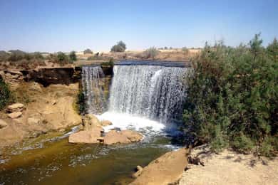 From Cairo: Full-Day Tour To El Fayoum