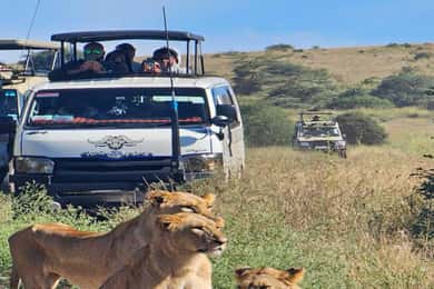Nairobi: Nairobi National Park 5-hour Guided Game Drive