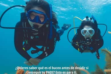 Lanzarote – dein erstes Taucherlebnis
