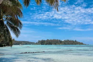 Moorea: Guided Lagoon Tour with Video Souvenirs