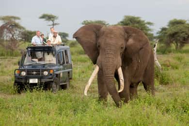 3 Days - Tarangire and Ngorongoro Crater