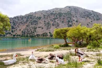 From Rethymno: Souda Bay Boat Tour with Lake Kournas Stop