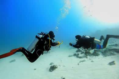 Scuba Diving Experience in Porto Cesareo