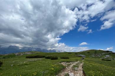 Andalo: Trekking Tour to Canfedin Peak