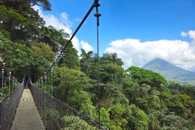 Mistico Hanging Bridges + Transportation + Naturalist Guide