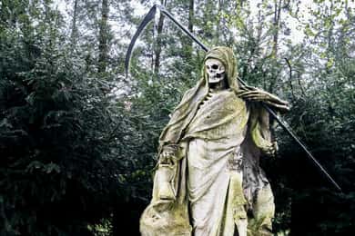 Melaten Friedhof: Tour guiado com todos os sentidos